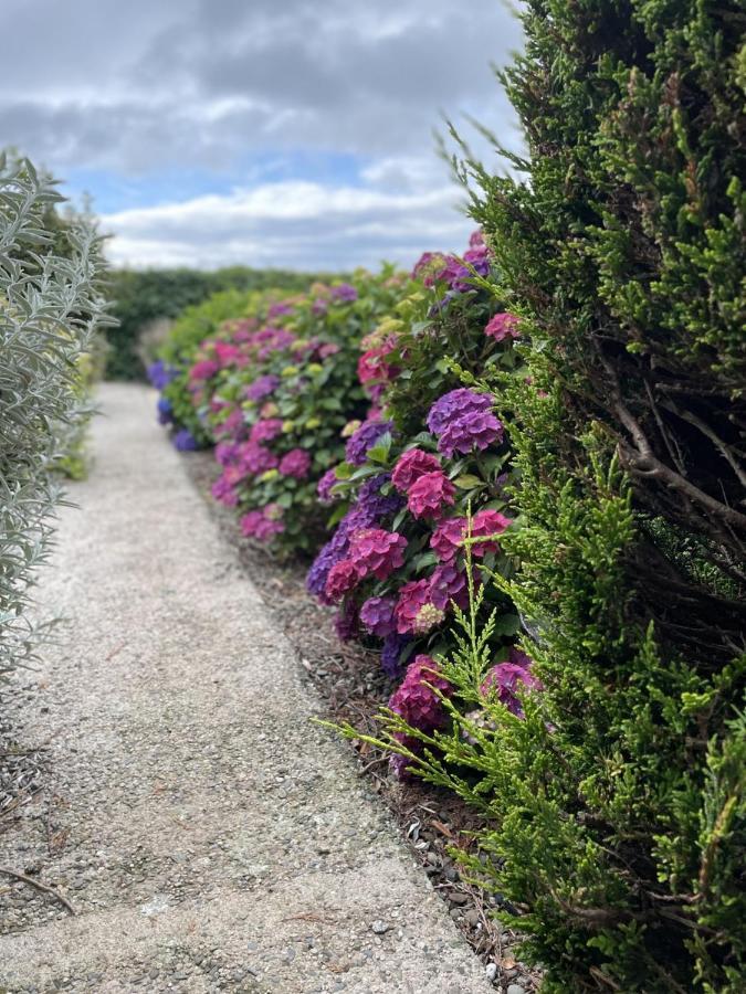 Galloway Farmstay Claunch Newton Stewart Eksteriør billede