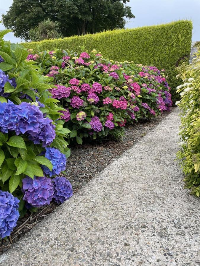 Galloway Farmstay Claunch Newton Stewart Eksteriør billede