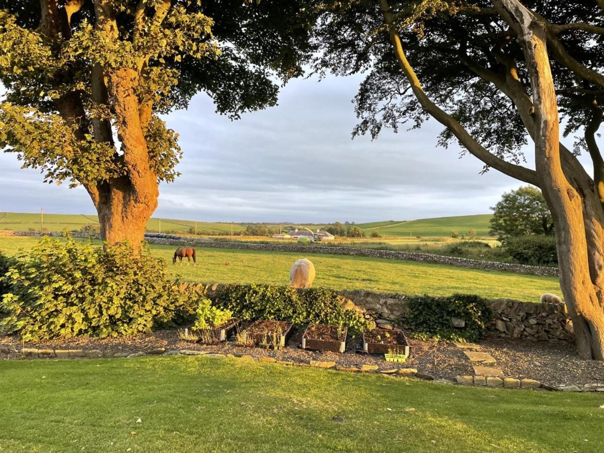 Galloway Farmstay Claunch Newton Stewart Eksteriør billede